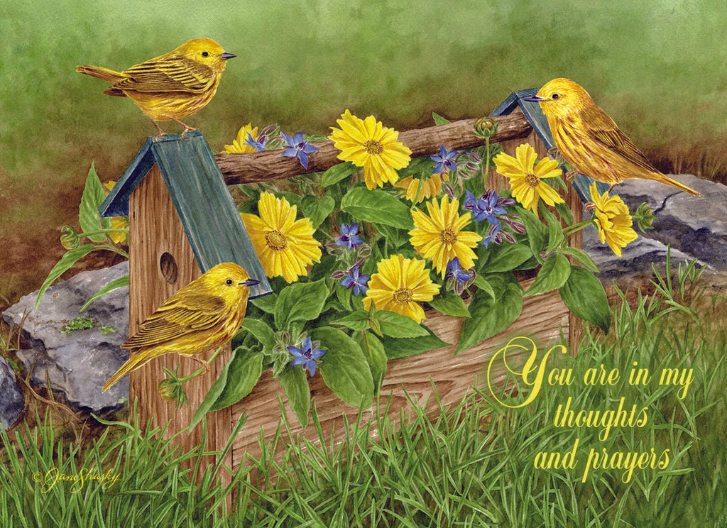 Christian Thinking of You Cards by Shared Blessings, 12 Cards and Envelopes