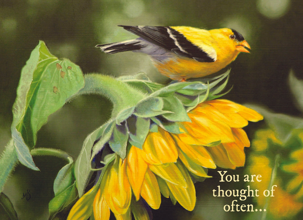 Christian Thinking of You Cards by Shared Blessings, 12 Cards and Envelopes