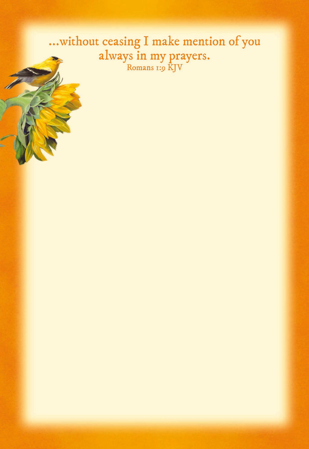 Christian Thinking of You Cards by Shared Blessings, 12 Cards and Envelopes