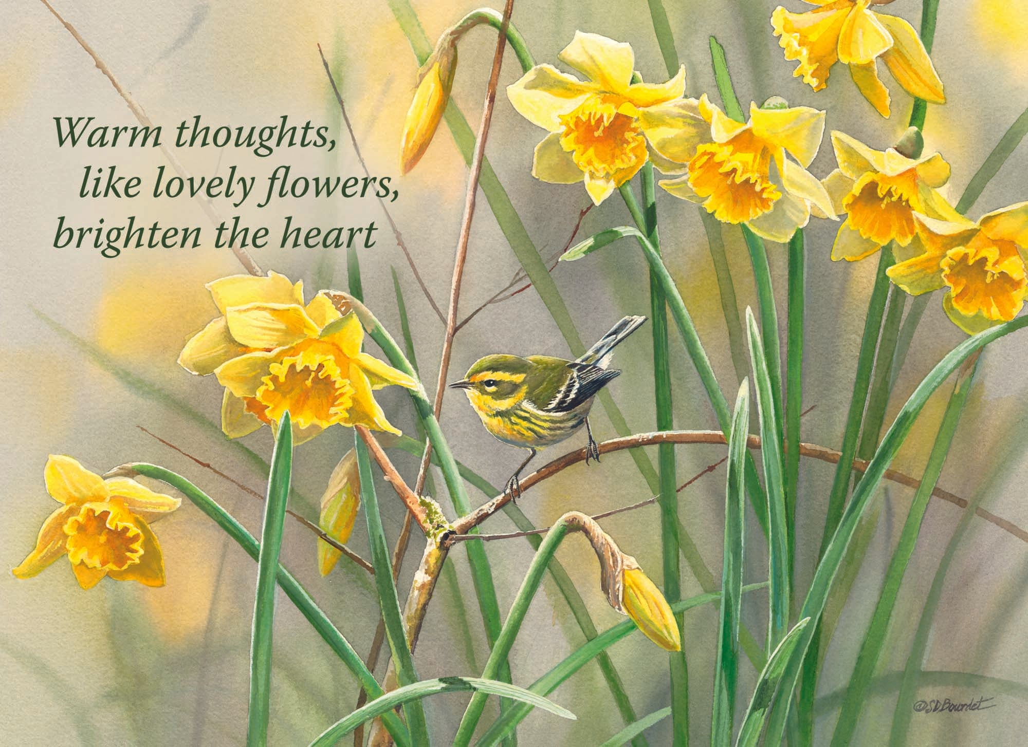 Christian Thinking of You Cards by Shared Blessings, 12 Cards and Envelopes