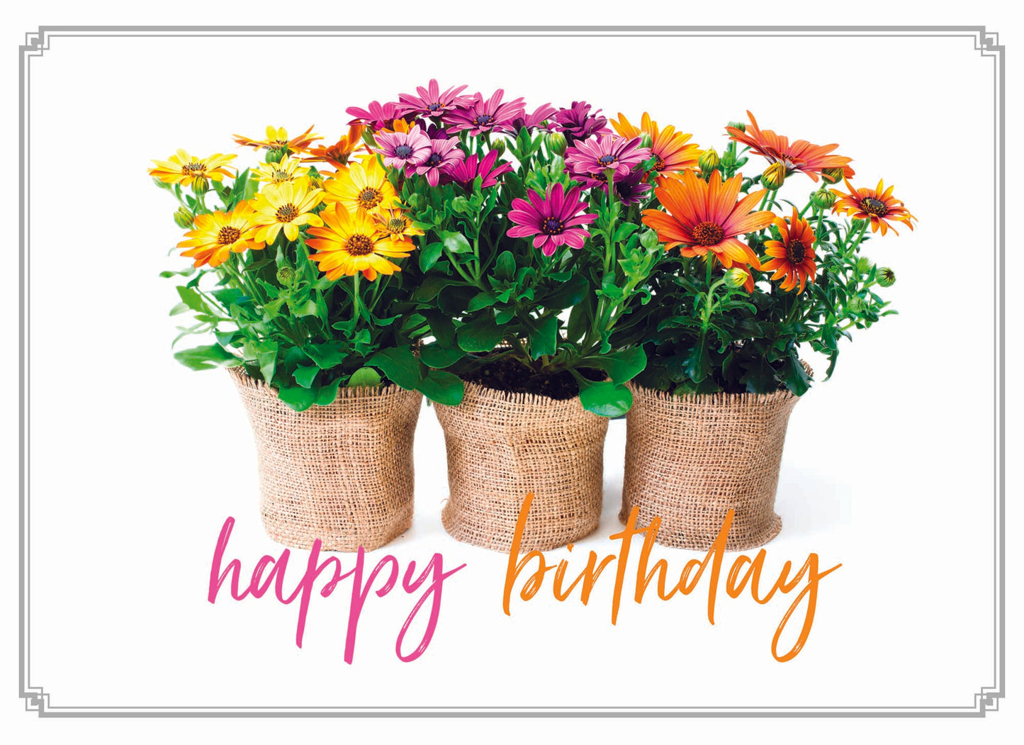 Birthday - Flowers in a Vase - Assorted Birthday Cards, Box of 12