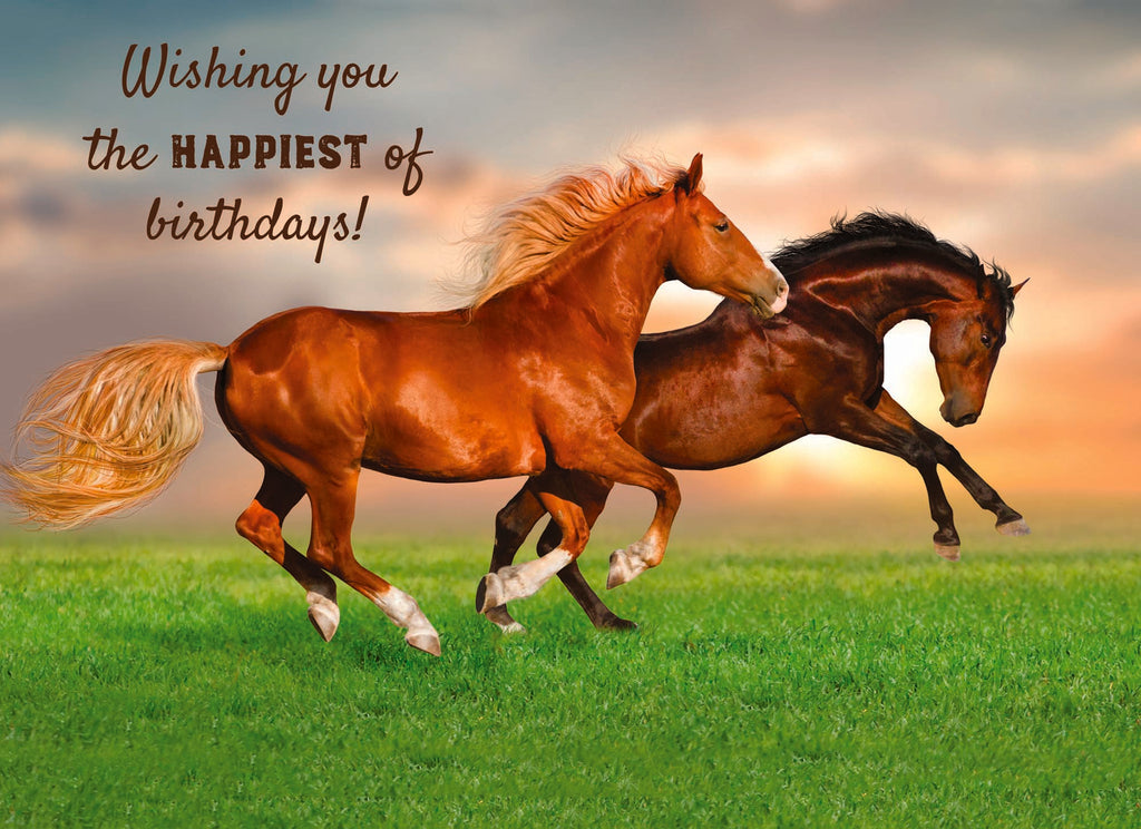 Wild Horse Birthday card "Wishing you the happiest of birthdays!"