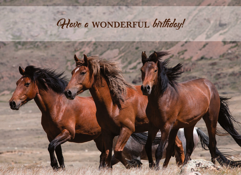 Wild Horse Birthday card "Have a wonderful birthday!"