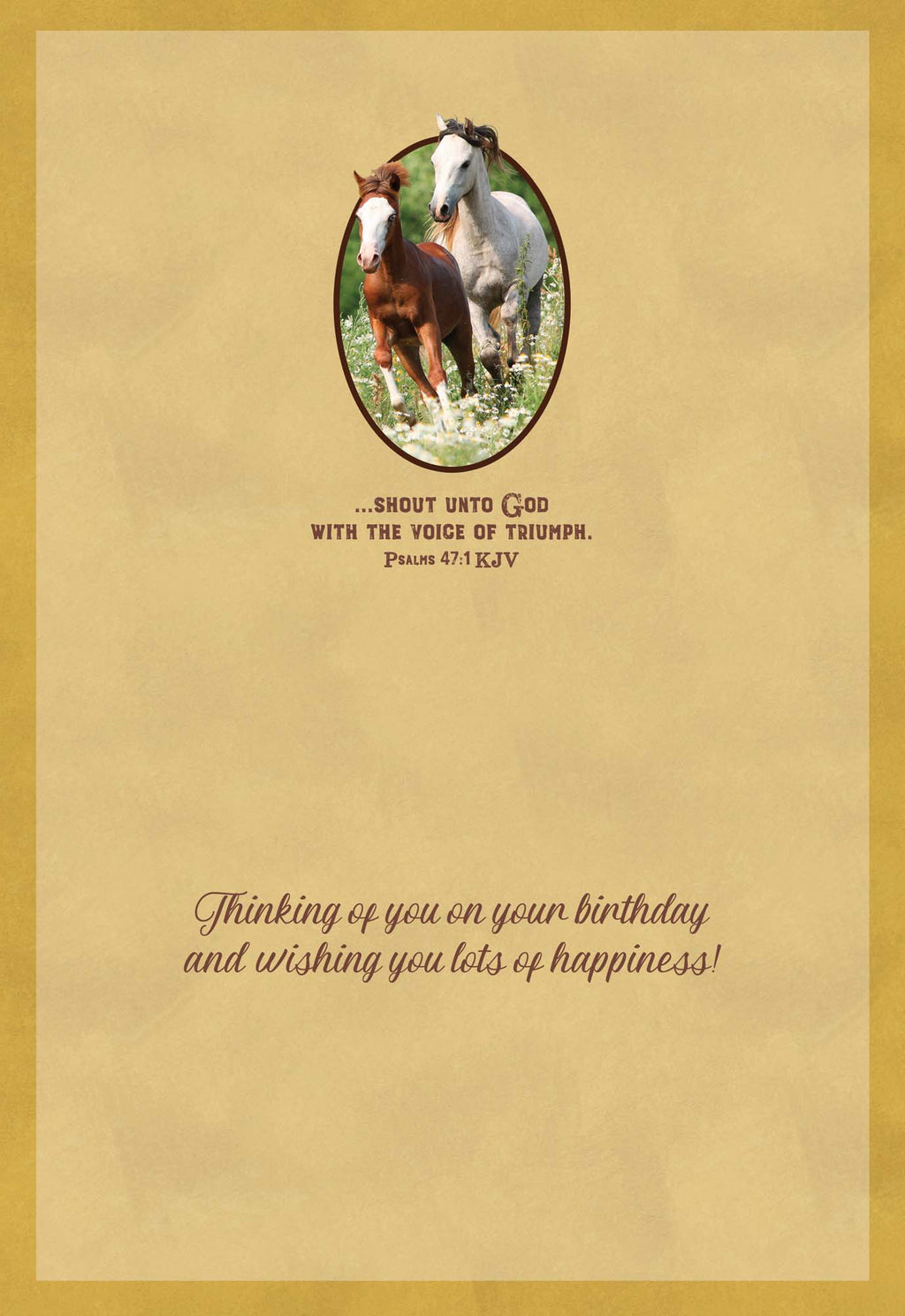 Christian Birthday Cards by Shared Blessings - Celebrations, 48 Assorted Cards