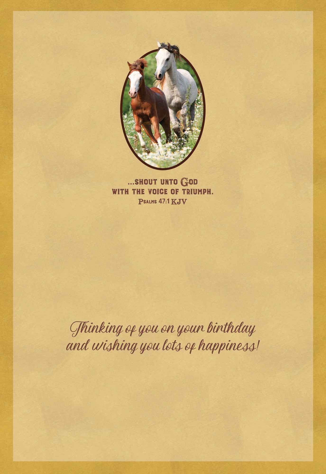 Celebrations -  48 Assorted Birthday Cards by Shared Blessings