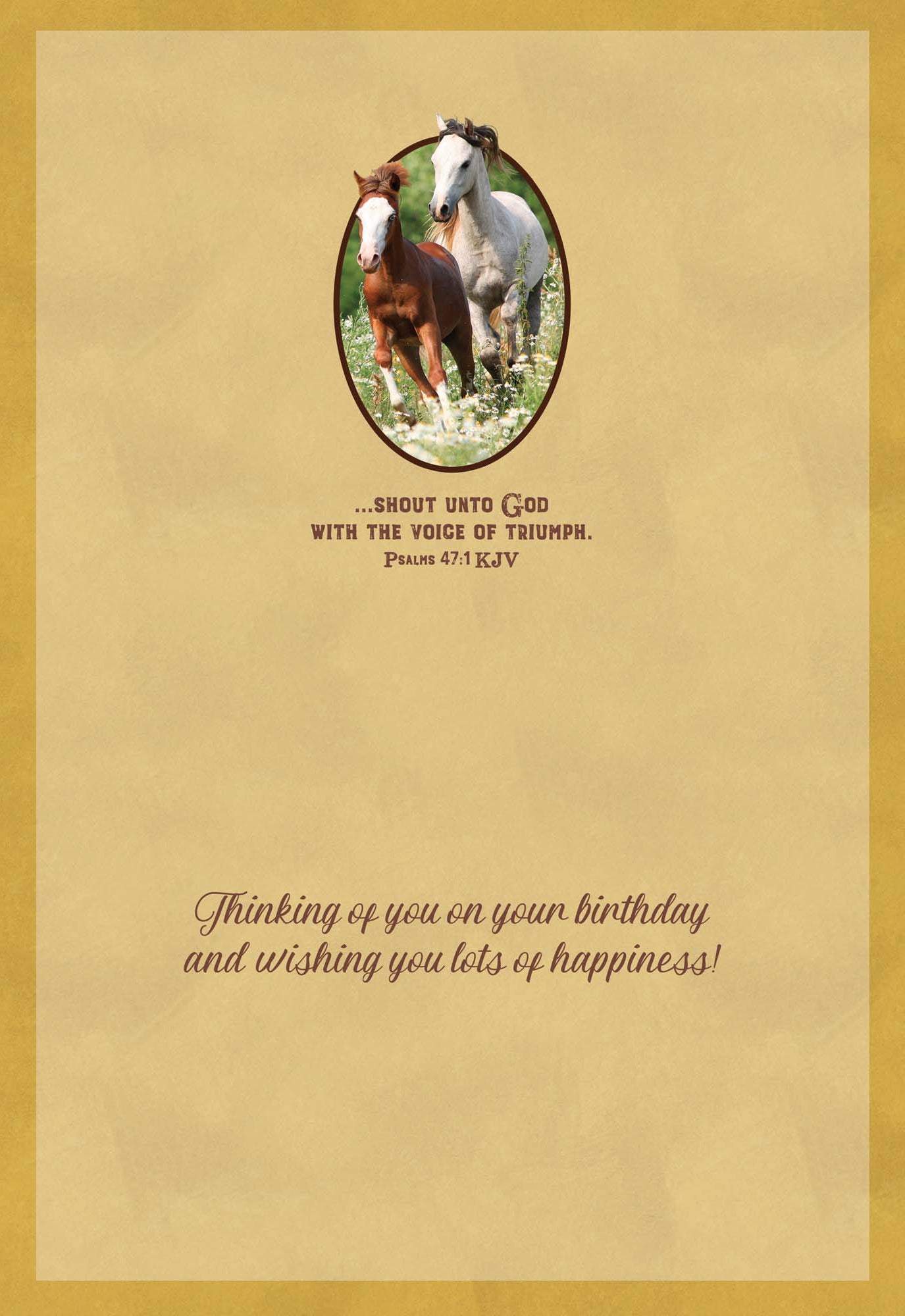 Christian Birthday Cards by Shared Blessings - Celebrations, 48 Assorted Cards