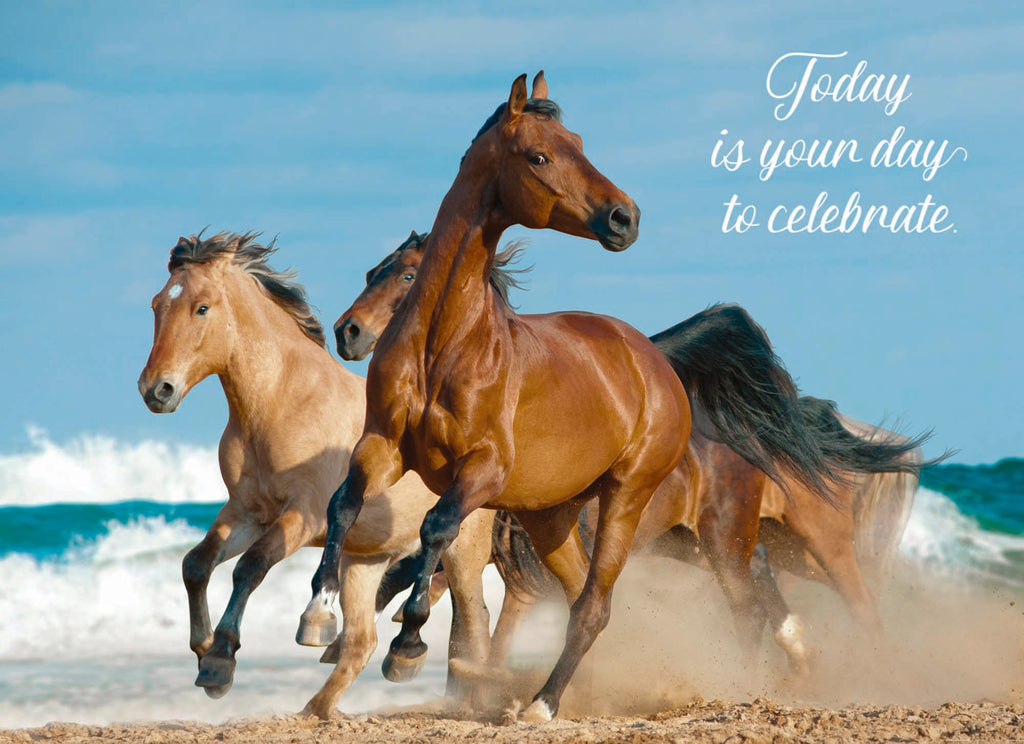 Wild Horse Birthday card "Today is your day to celebrate."