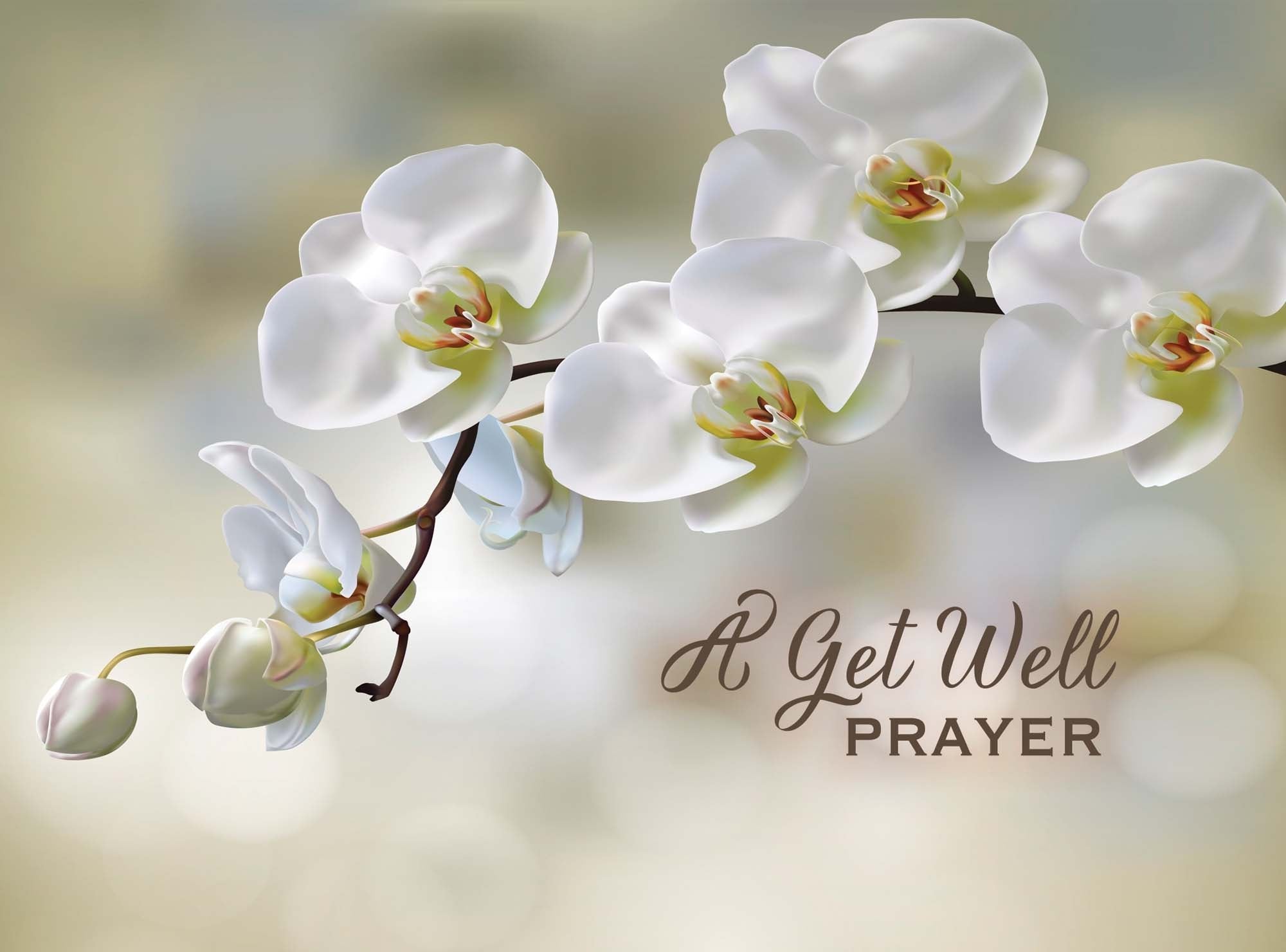 Occasions Get Well and Sympathy - Box of 12 Assorted Get Well and Sympathy Cards by Shared Blessings