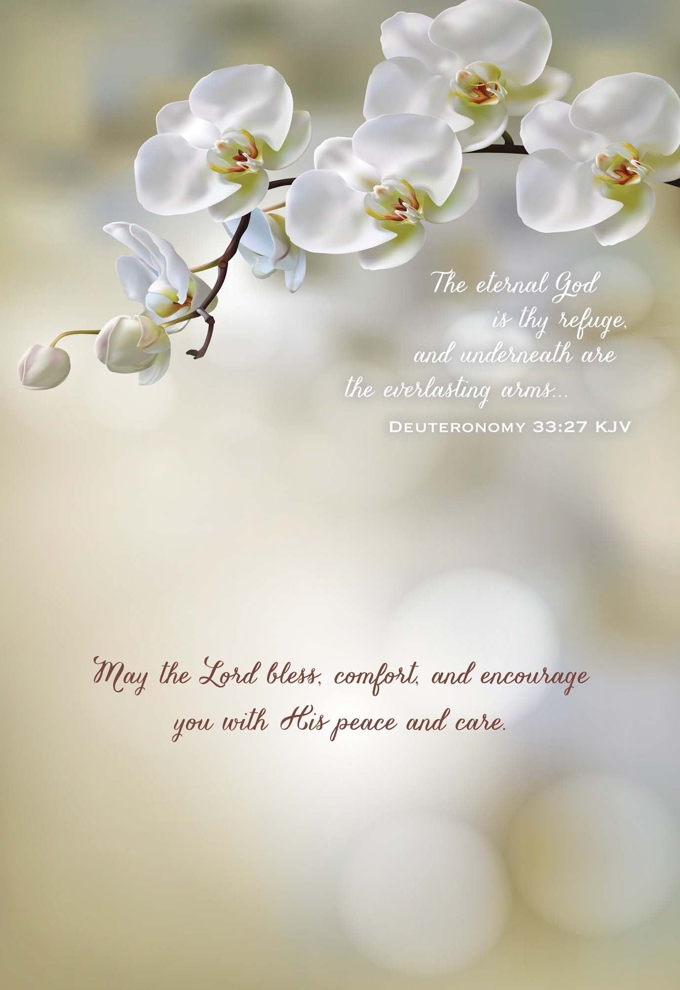 Occasions Get Well and Sympathy - Box of 12 Assorted Get Well and Sympathy Cards by Shared Blessings