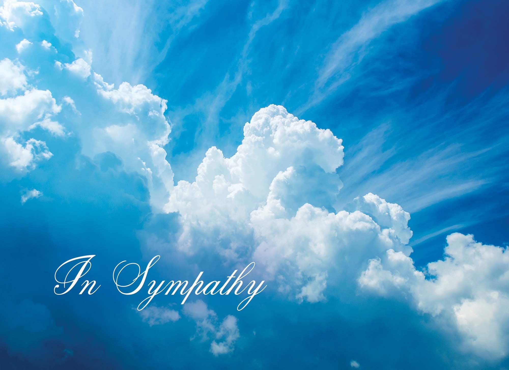 Occasions Get Well and Sympathy - Box of 12 Assorted Get Well and Sympathy Cards by Shared Blessings