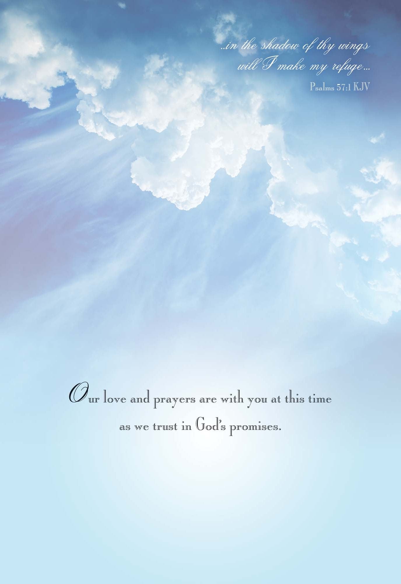 Occasions Get Well and Sympathy - Box of 12 Assorted Get Well and Sympathy Cards by Shared Blessings