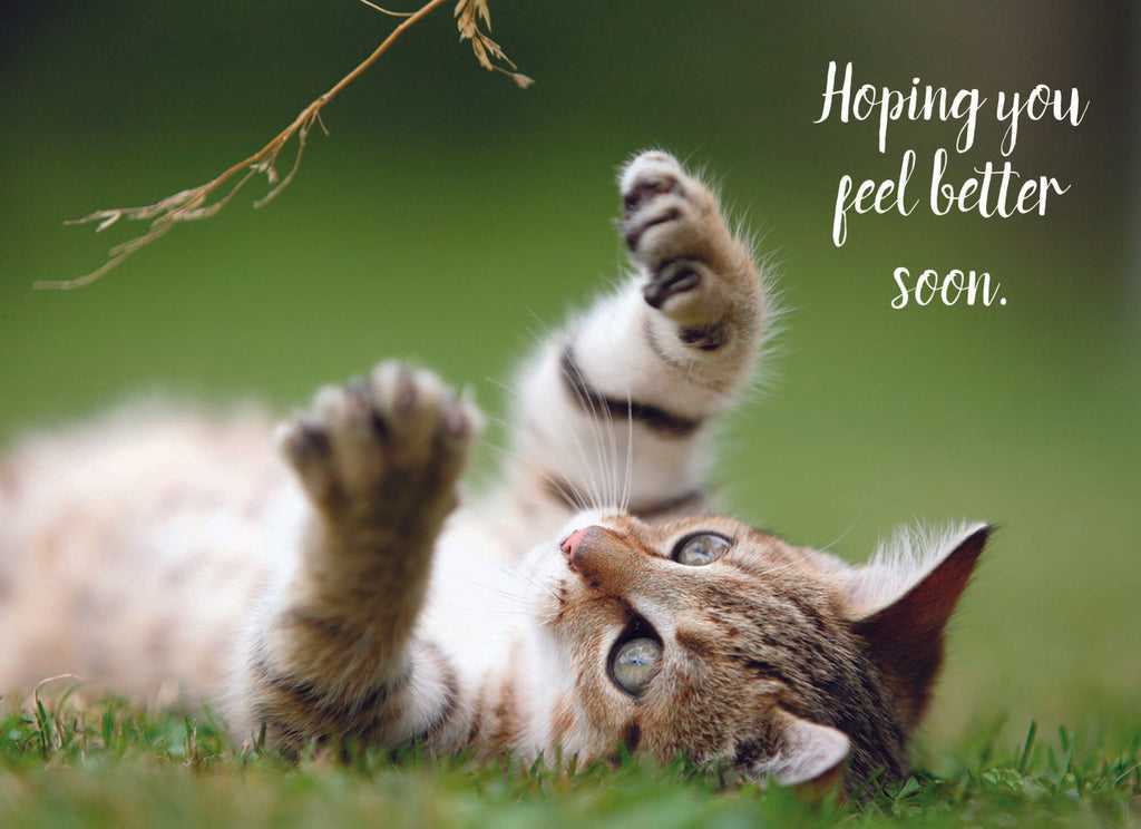 Value Assortment No.1 - Assorted All Occasion, Box of 48