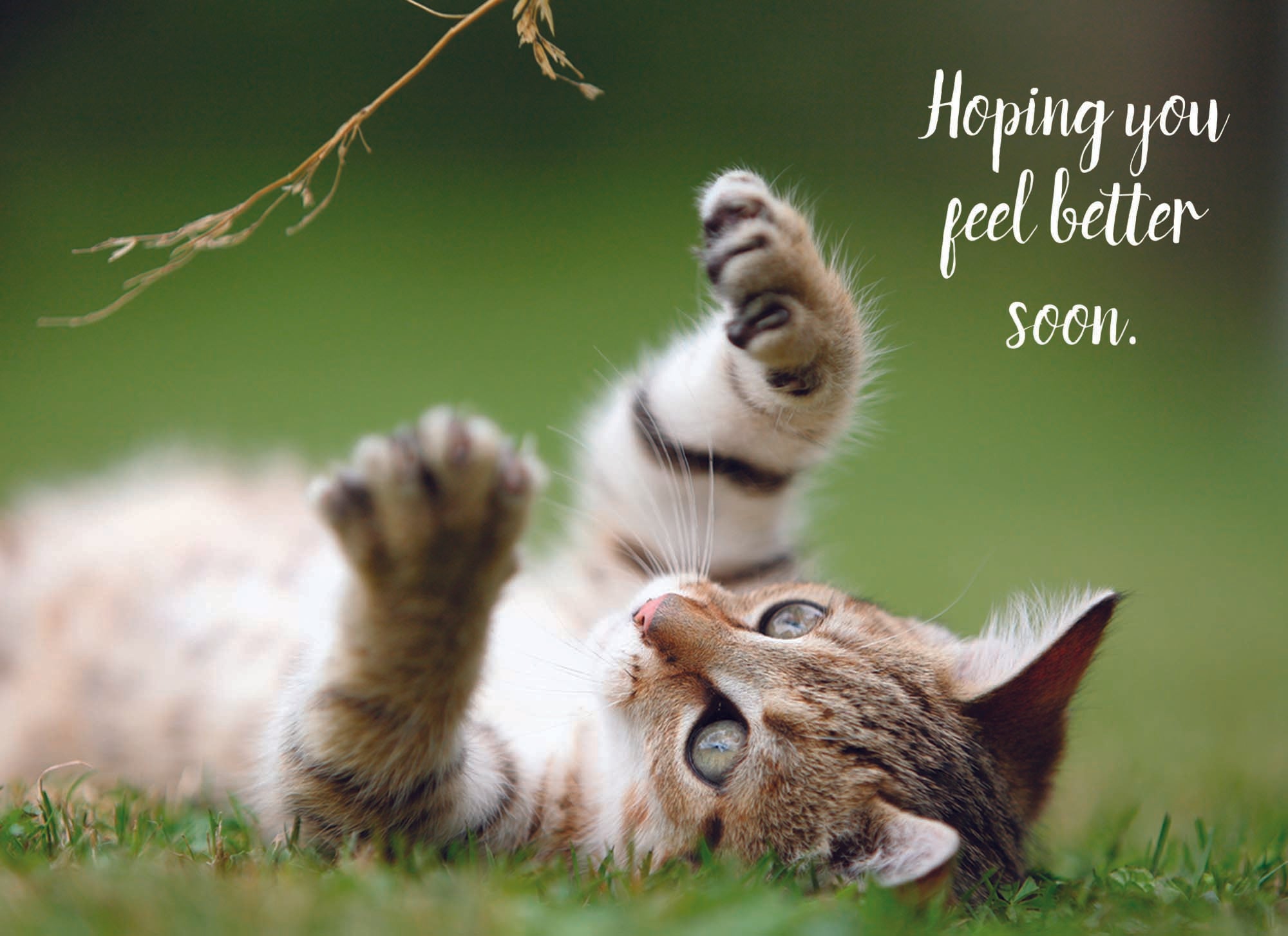 Value Assortment No.1 - Assorted All Occasion, Box of 48