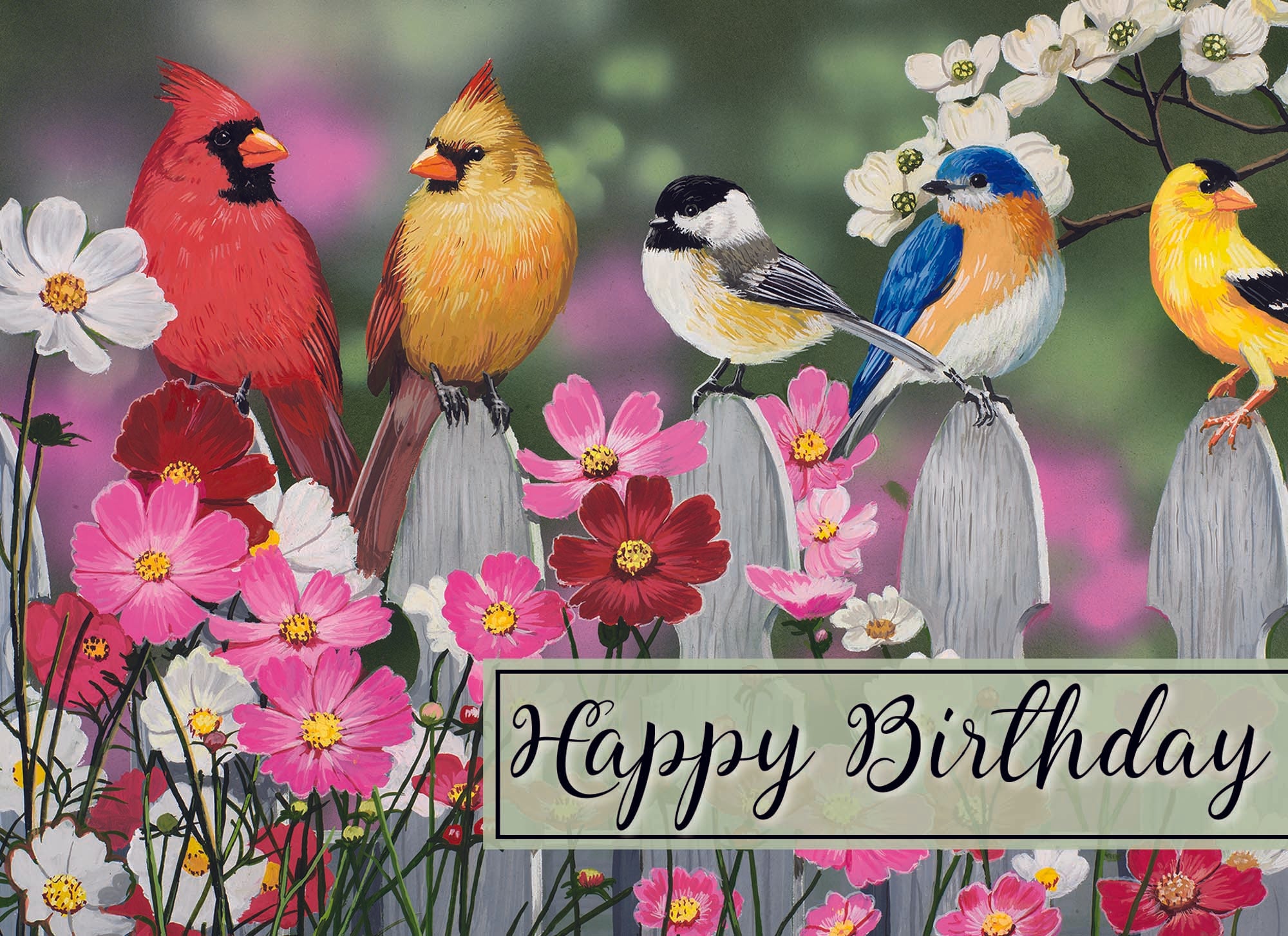 Christian Birthday Cards by Shared Blessings- Birds, 12 Cards and Envelopes