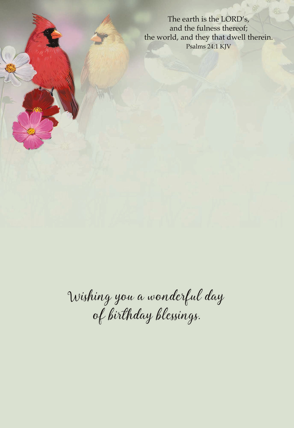 Christian Birthday Cards by Shared Blessings- Birds, 12 Cards and Envelopes
