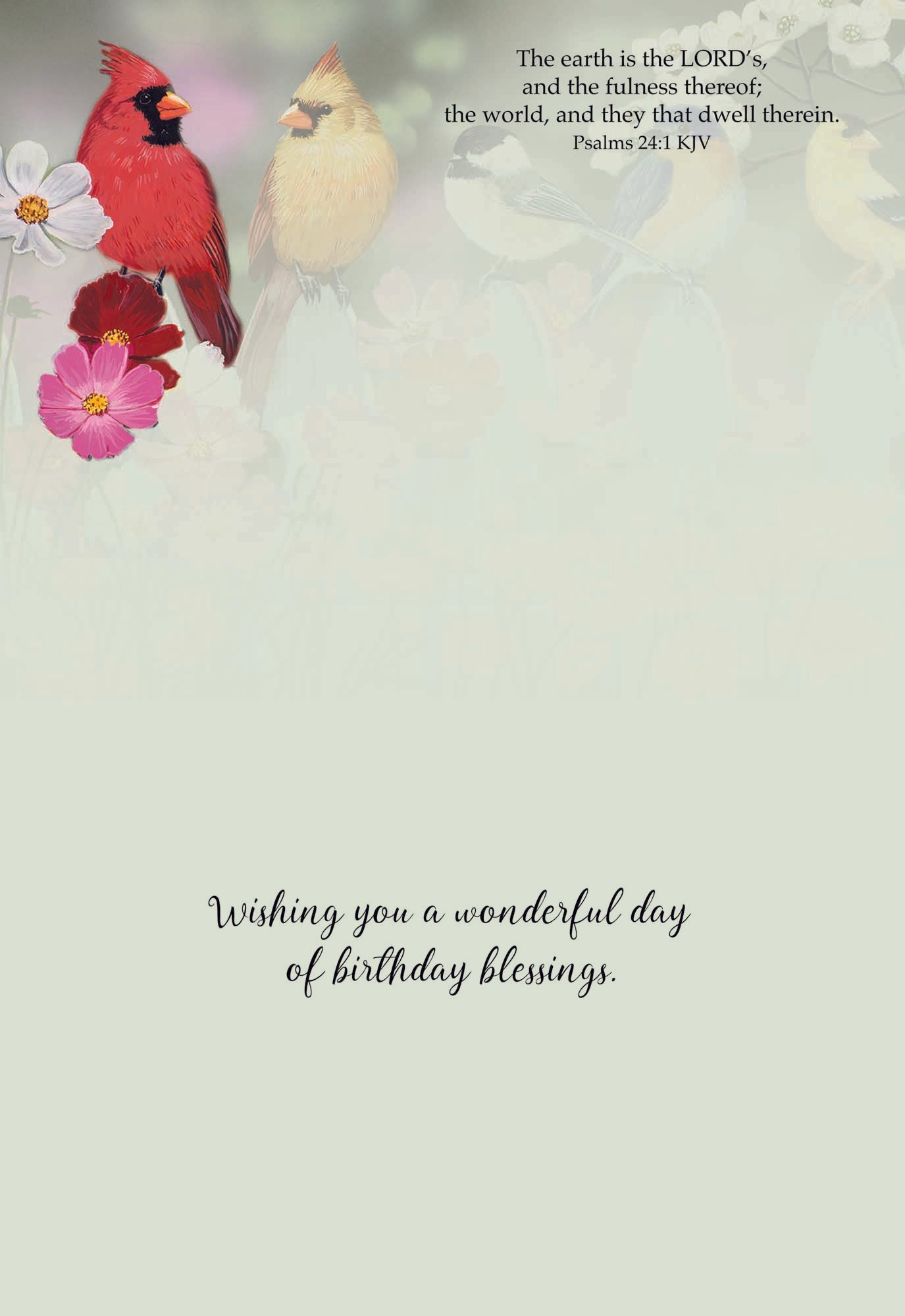 Christian Birthday Cards by Shared Blessings- Birds, 12 Cards and Envelopes