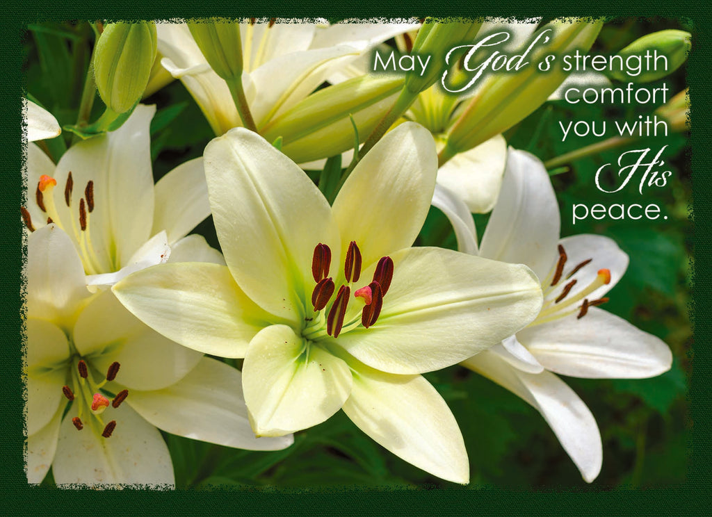 sympathy peace lily quotes Religious Sympathy Cards by Shared Blessings- Lilies