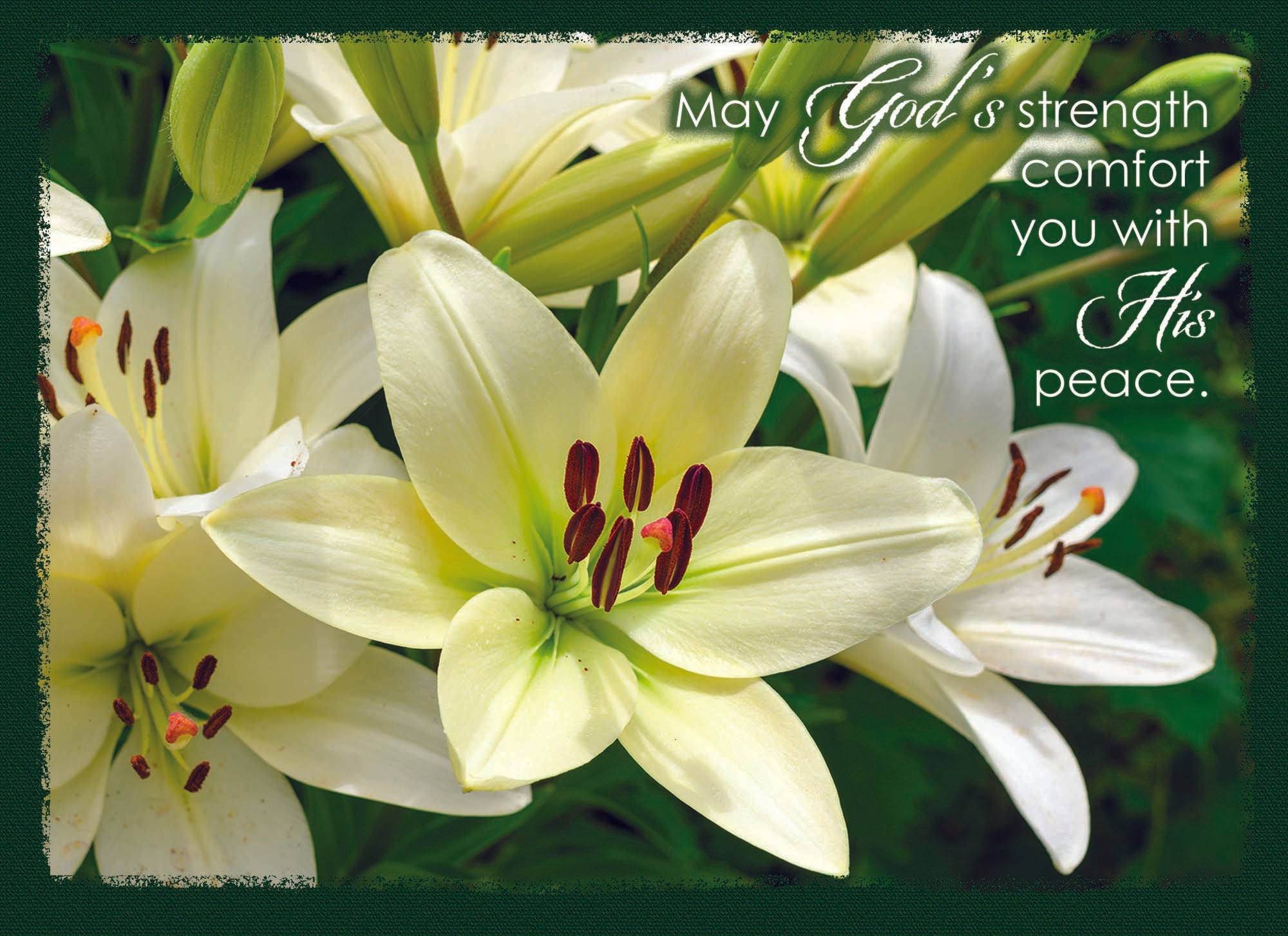 May God's strength comfort you with His peace Card