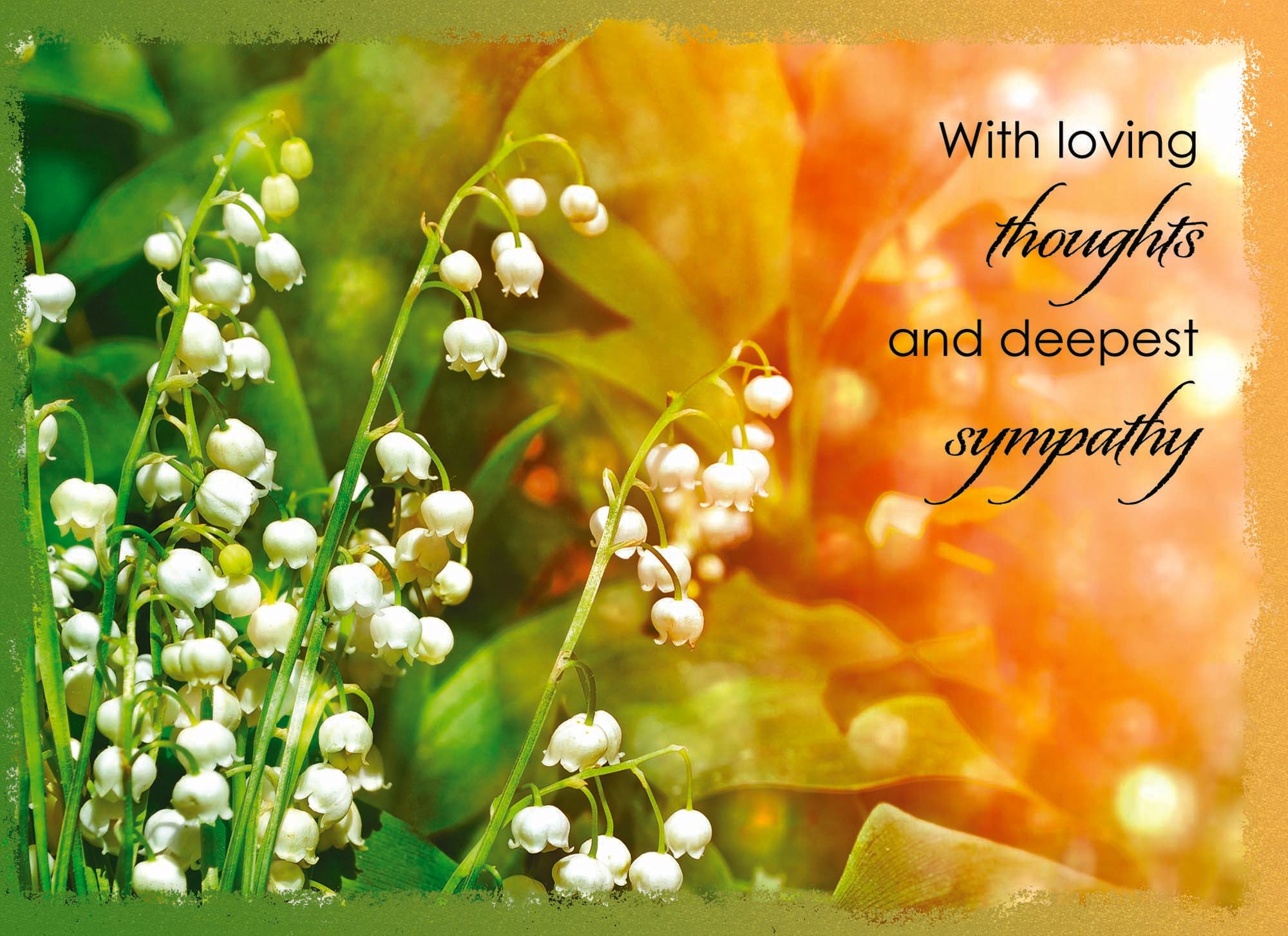 Religious Sympathy Cards by Shared Blessings- Lilies - 12 Cards and Envelopes