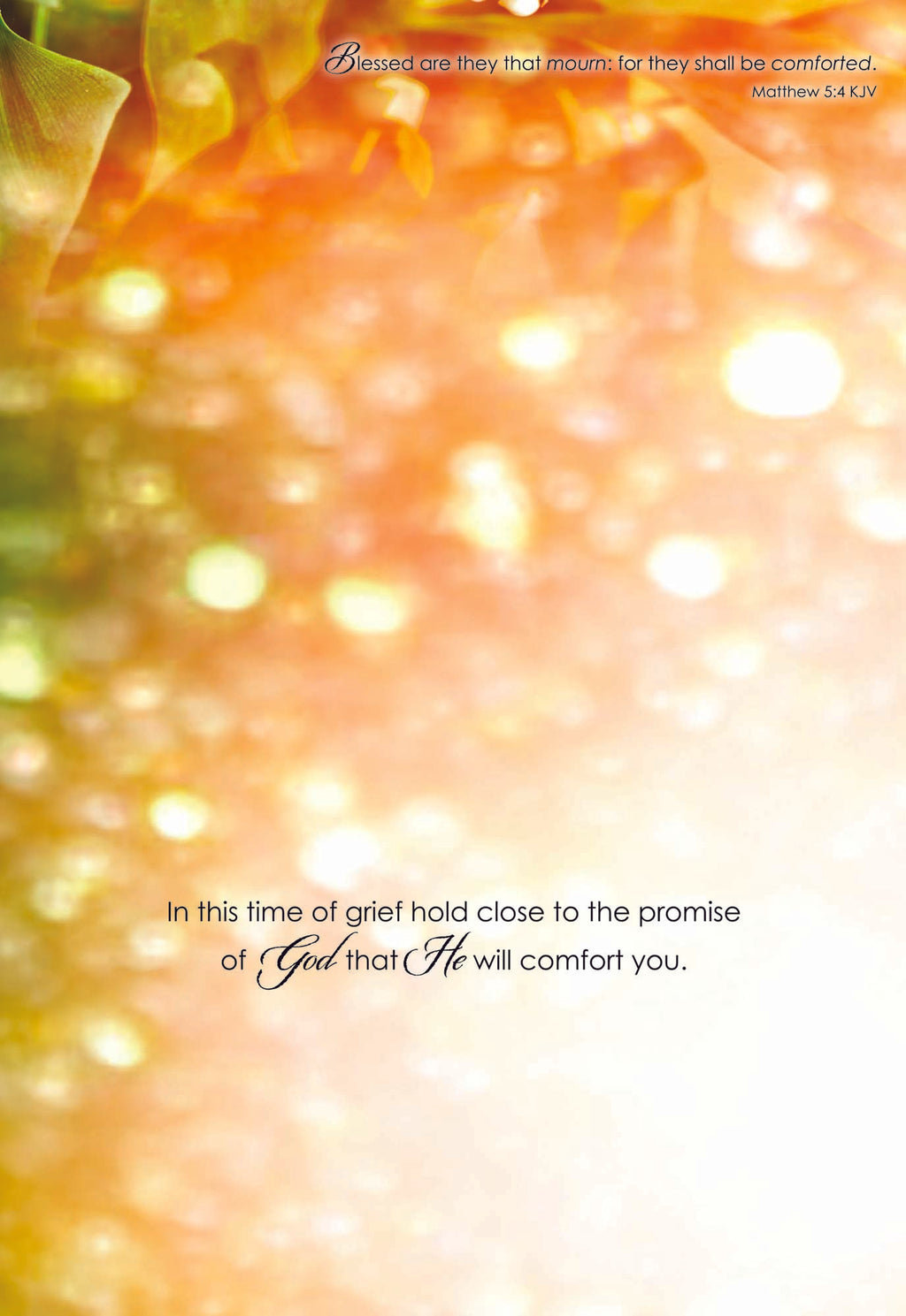 In this time of grief hold close to the promise of God that He will comfort you