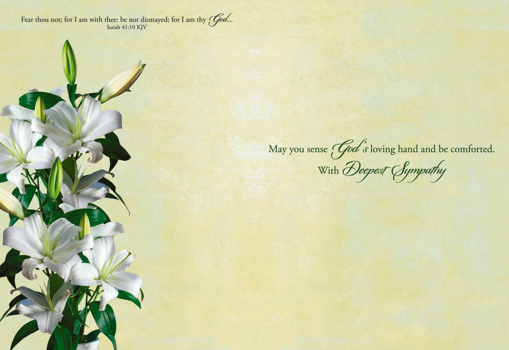 peace lily sympathy message Card-Boxed-Shared Blessings-Sympathy Lilies (Box of 12)