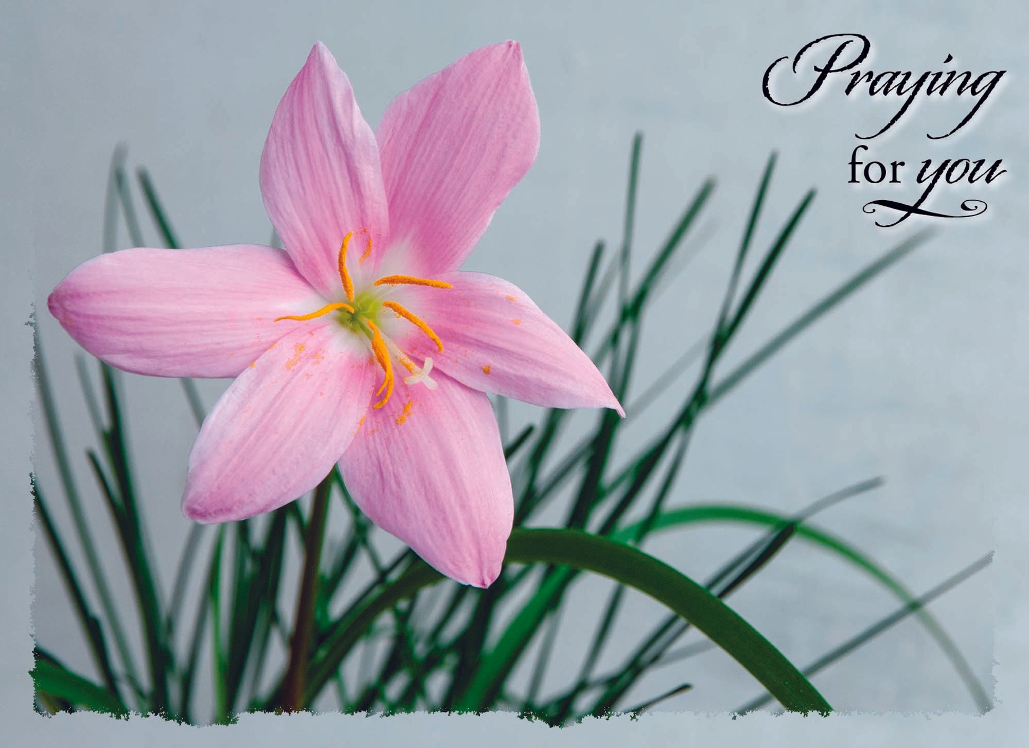 Value Assortment No.1 - Assorted All Occasion, Box of 48