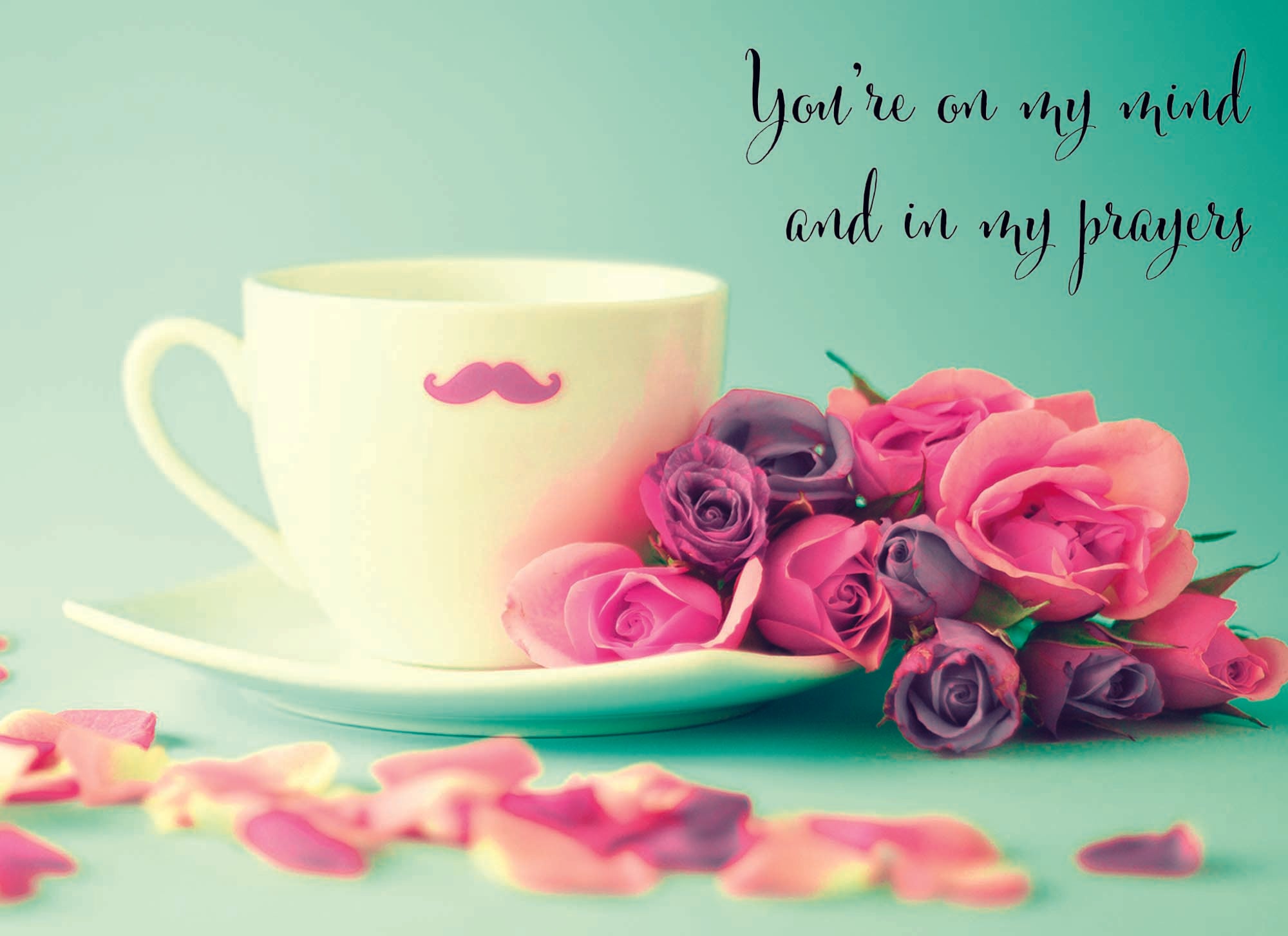 Christian Thinking of You Cards by Shared Blessings- Gentle Thoughts 12 Cards and Envelopes