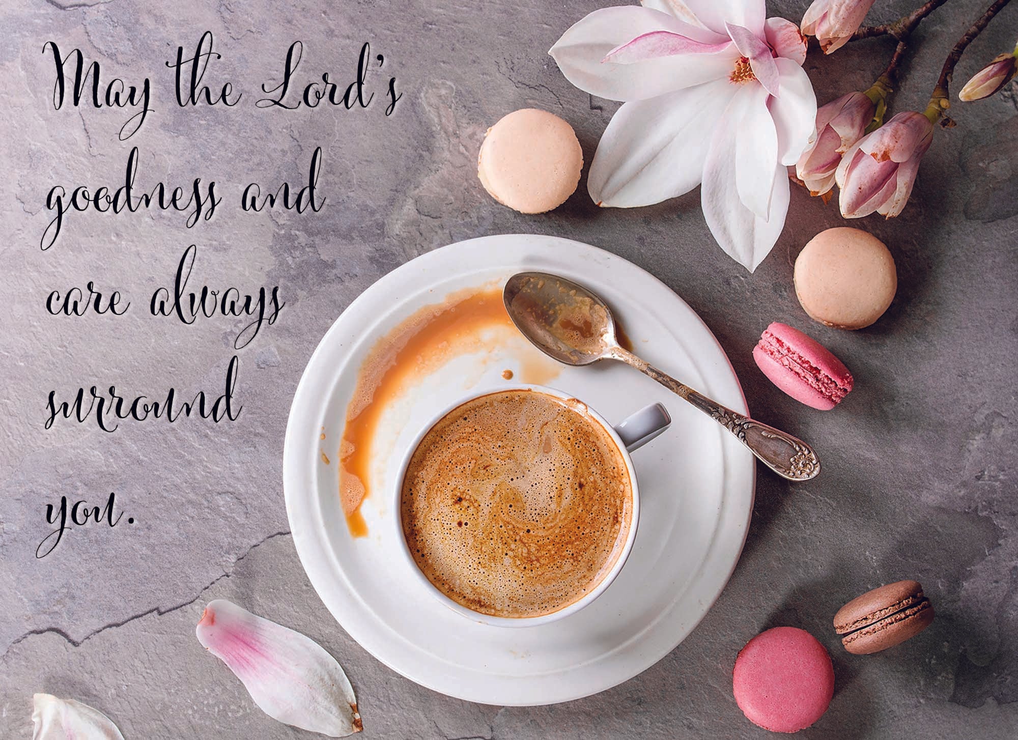 Christian Thinking of You Cards by Shared Blessings- Gentle Thoughts 12 Cards and Envelopes