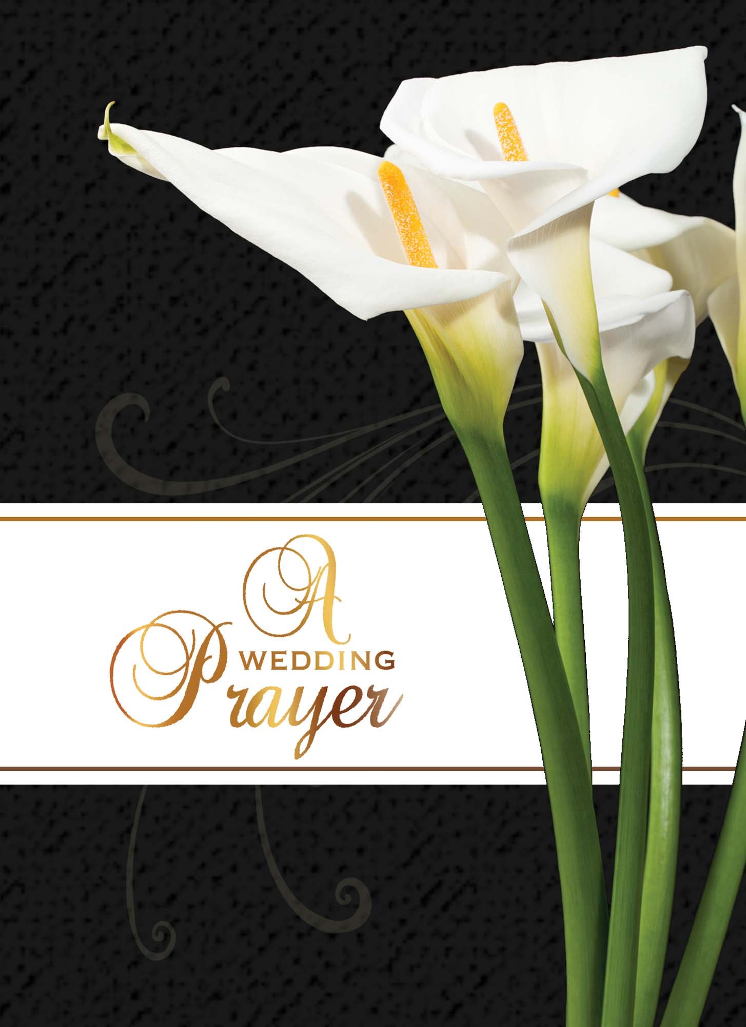 Forever Love Wedding and Anniversary Cards, 12 Boxed Greeting cards by Shared Blessings