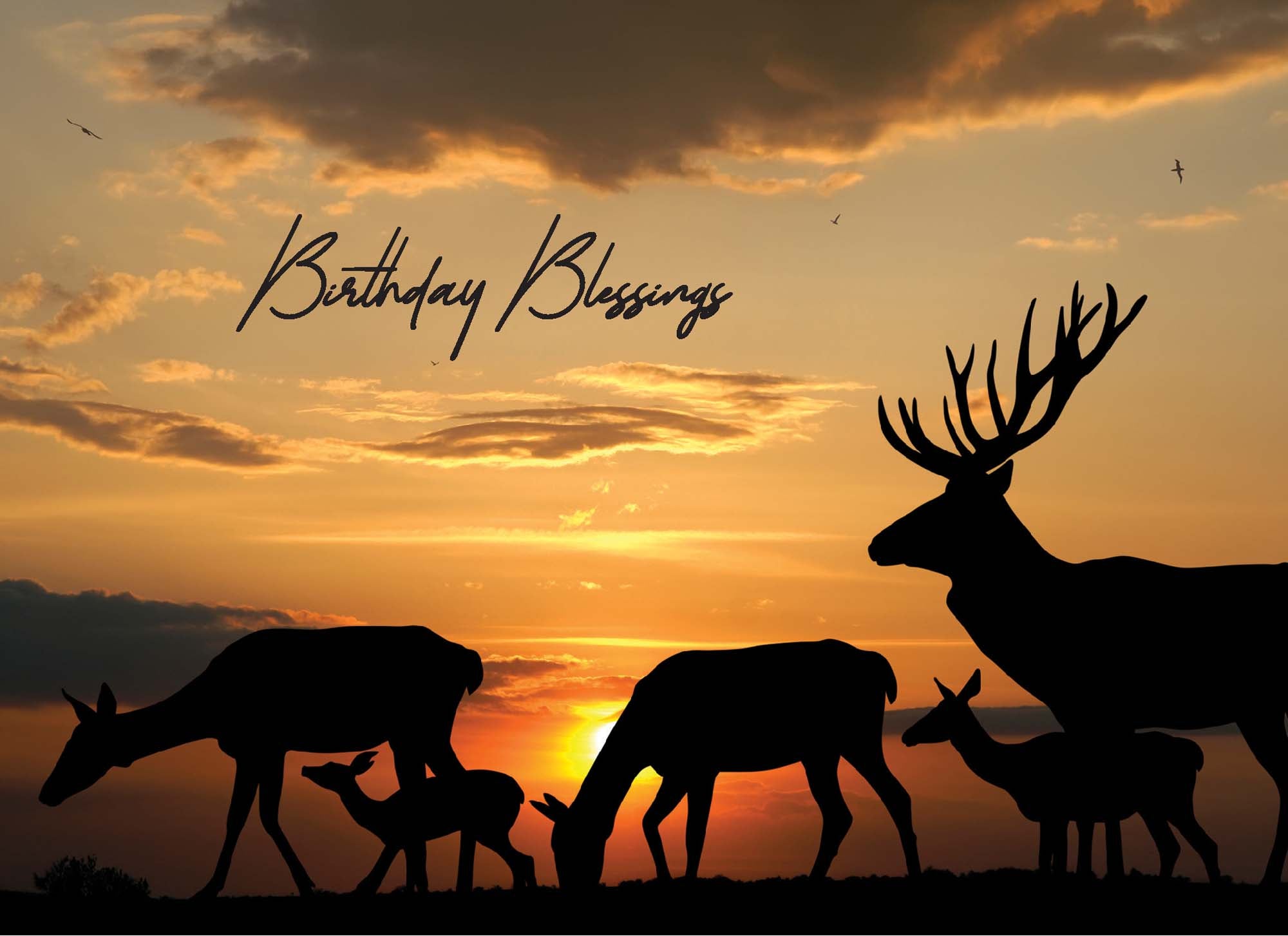 Silhouettes of deer against a sunset sky with 'Birthday Blessings' text.