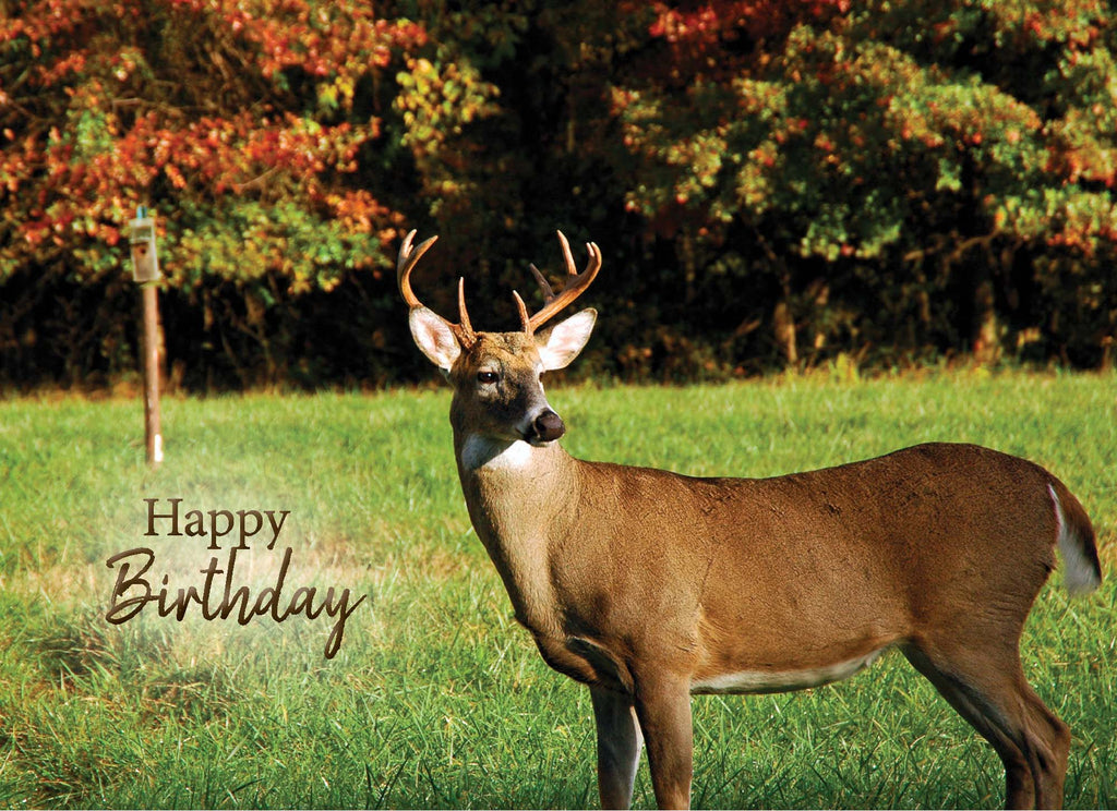 Deer standing in a grassy field with trees in the background, accompanied by 'Happy Birthday' text.