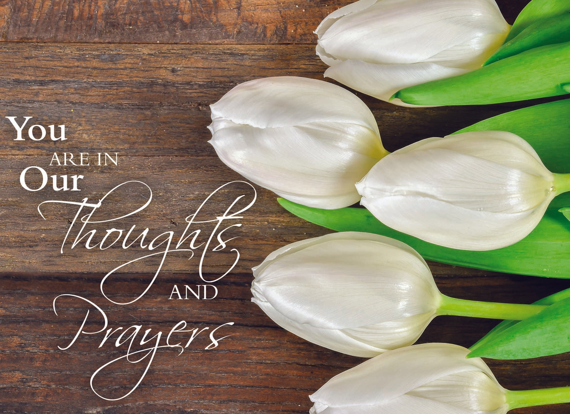 You are in our thoughts and prayers Card