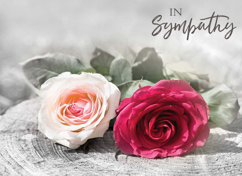 Religious Sympathy Cards | Thoughts of Sympathy - Box of 24 Assorted Sympathy Cards by Shared Blessings