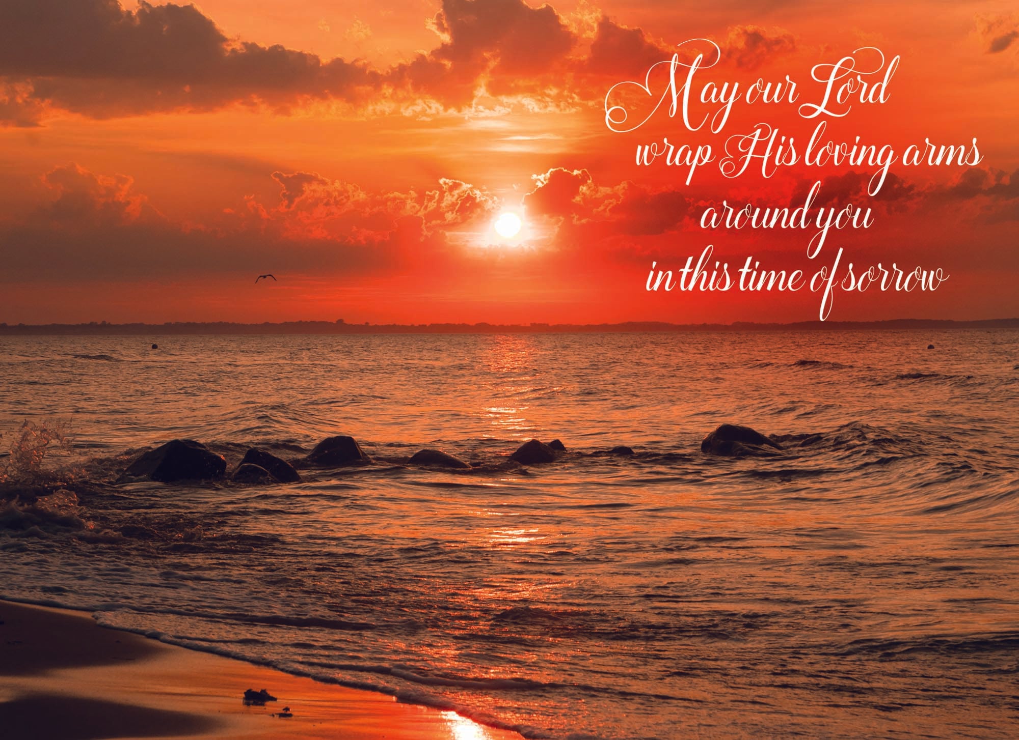 Value Assortment No.1 - Assorted All Occasion, Box of 48