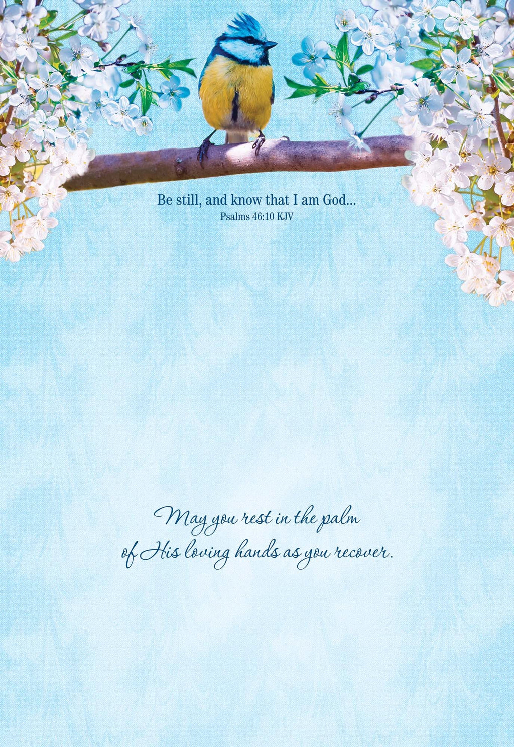 Christian Get Well Cards by Shared Blessings -Thoughts and Prayers - 12 Assorted Get Well Cards