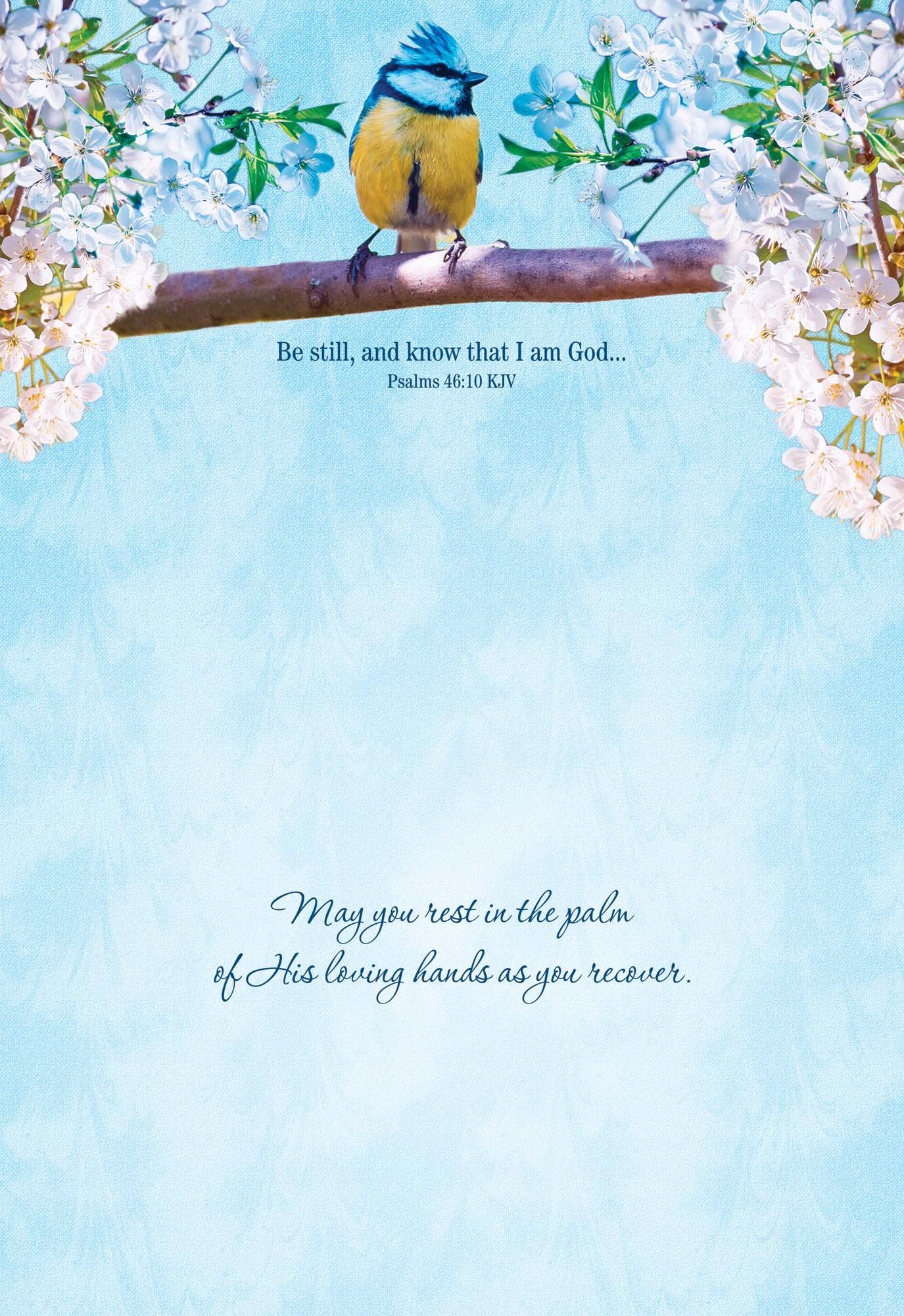 Christian Get Well Cards by Shared Blessings -Thoughts and Prayers - 12 Assorted Get Well Cards