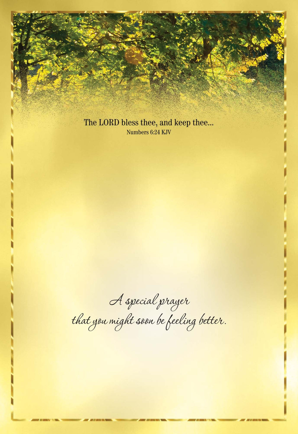 Moments - Large Assortment of Occasion Cards, Box of 24 by Shared Blessings