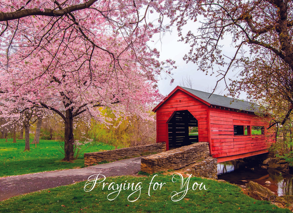 Value Assortment No.1 - Assorted All Occasion, Box of 48