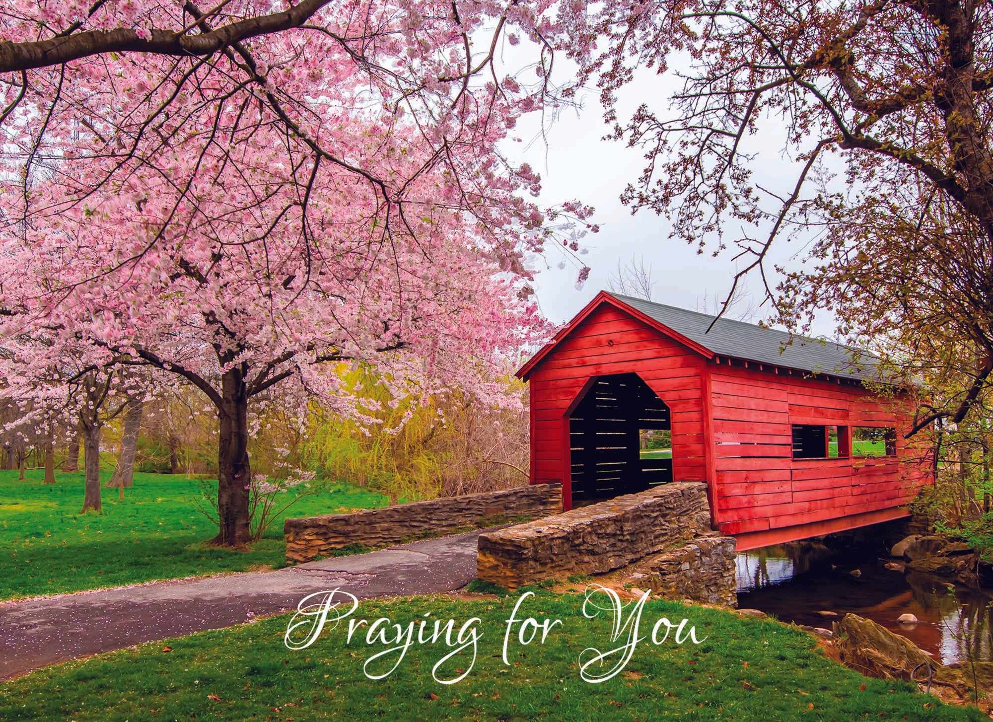 Value Assortment No.1 - Assorted All Occasion, Box of 48