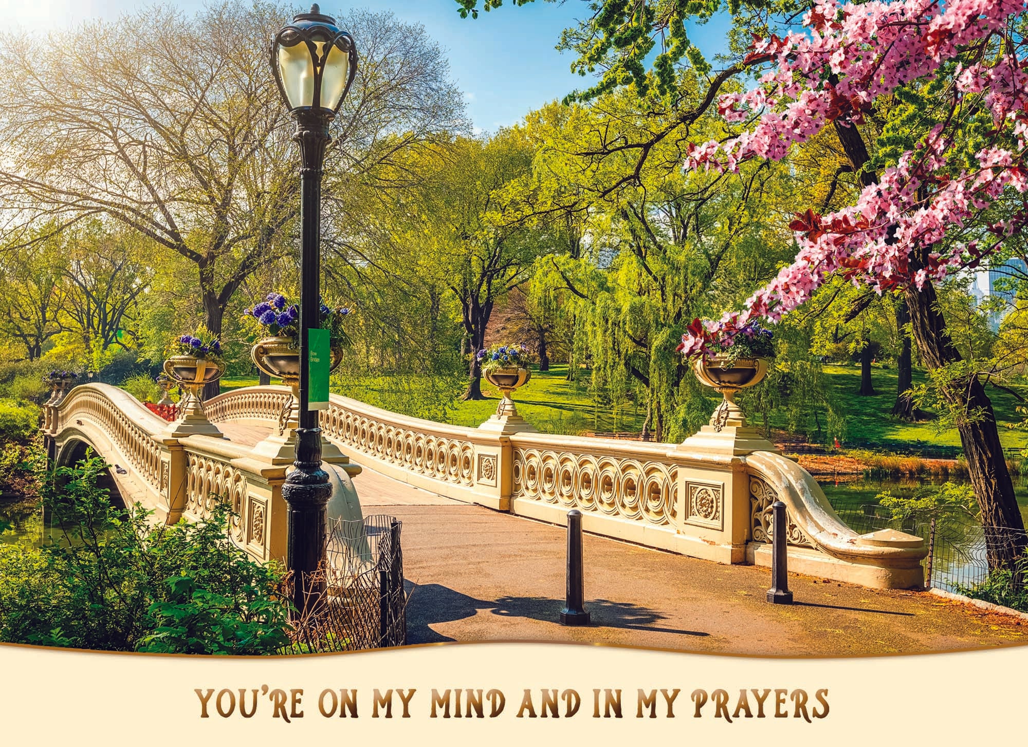 Christian Thinking of You Cards by Shared Blessings- Pathways - 12 Cards and Envelopes