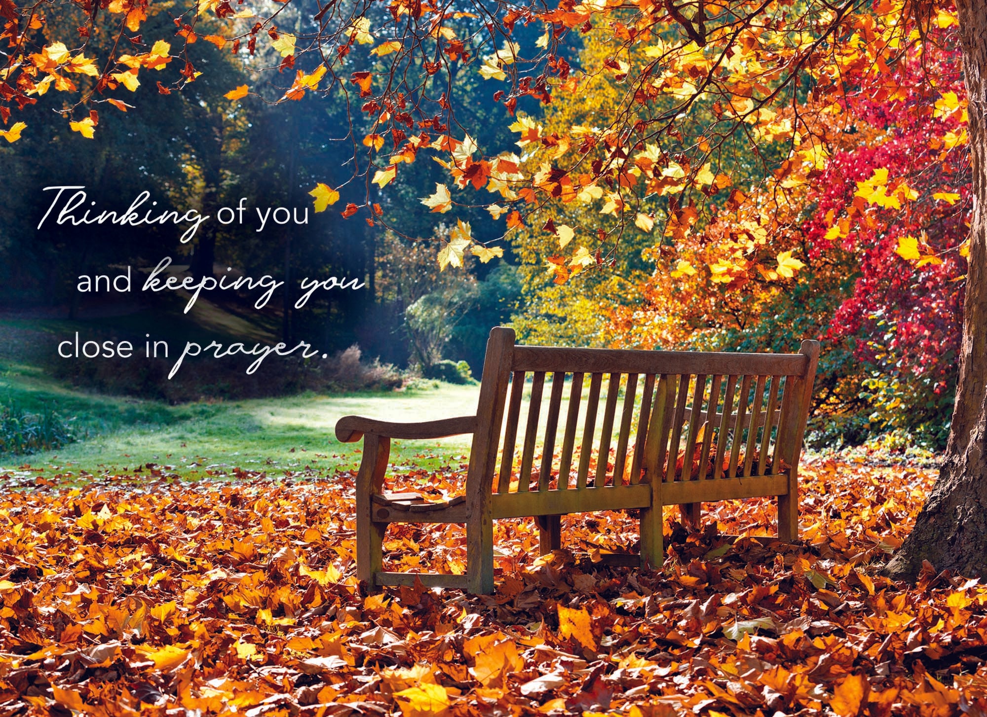 Christian Thinking of You Cards by Shared Blessings- Pathways - 12 Cards and Envelopes