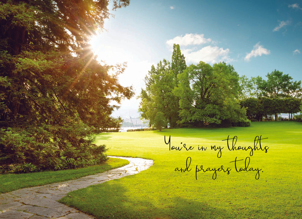 Christian Thinking of You Cards by Shared Blessings- Pathways - 12 Cards and Envelopes