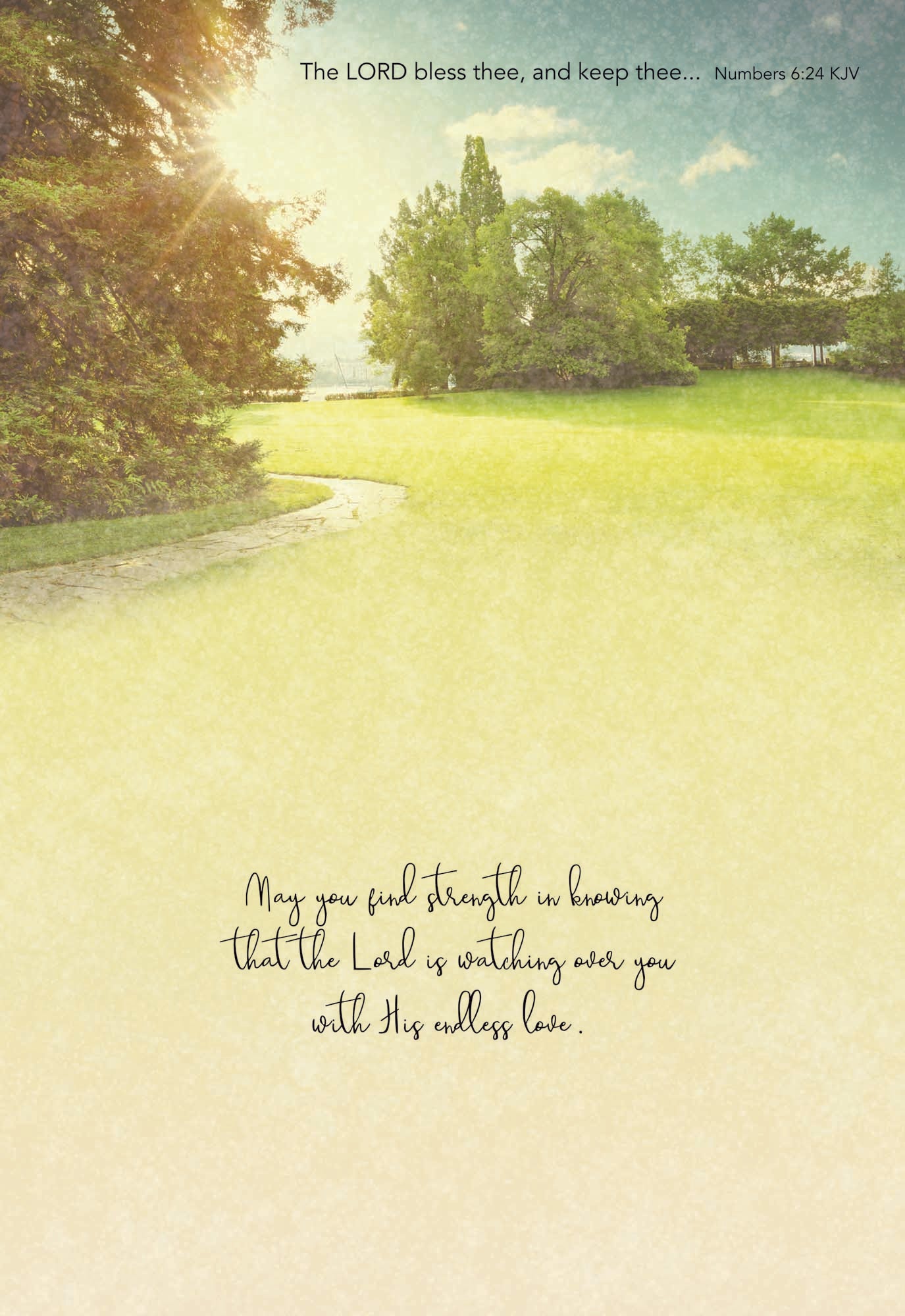 Christian Thinking of You Cards by Shared Blessings- Pathways - 12 Cards and Envelopes