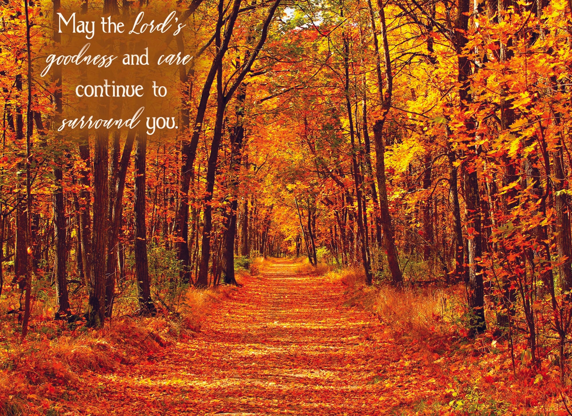 Christian Thinking of You Cards by Shared Blessings- Pathways - 12 Cards and Envelopes