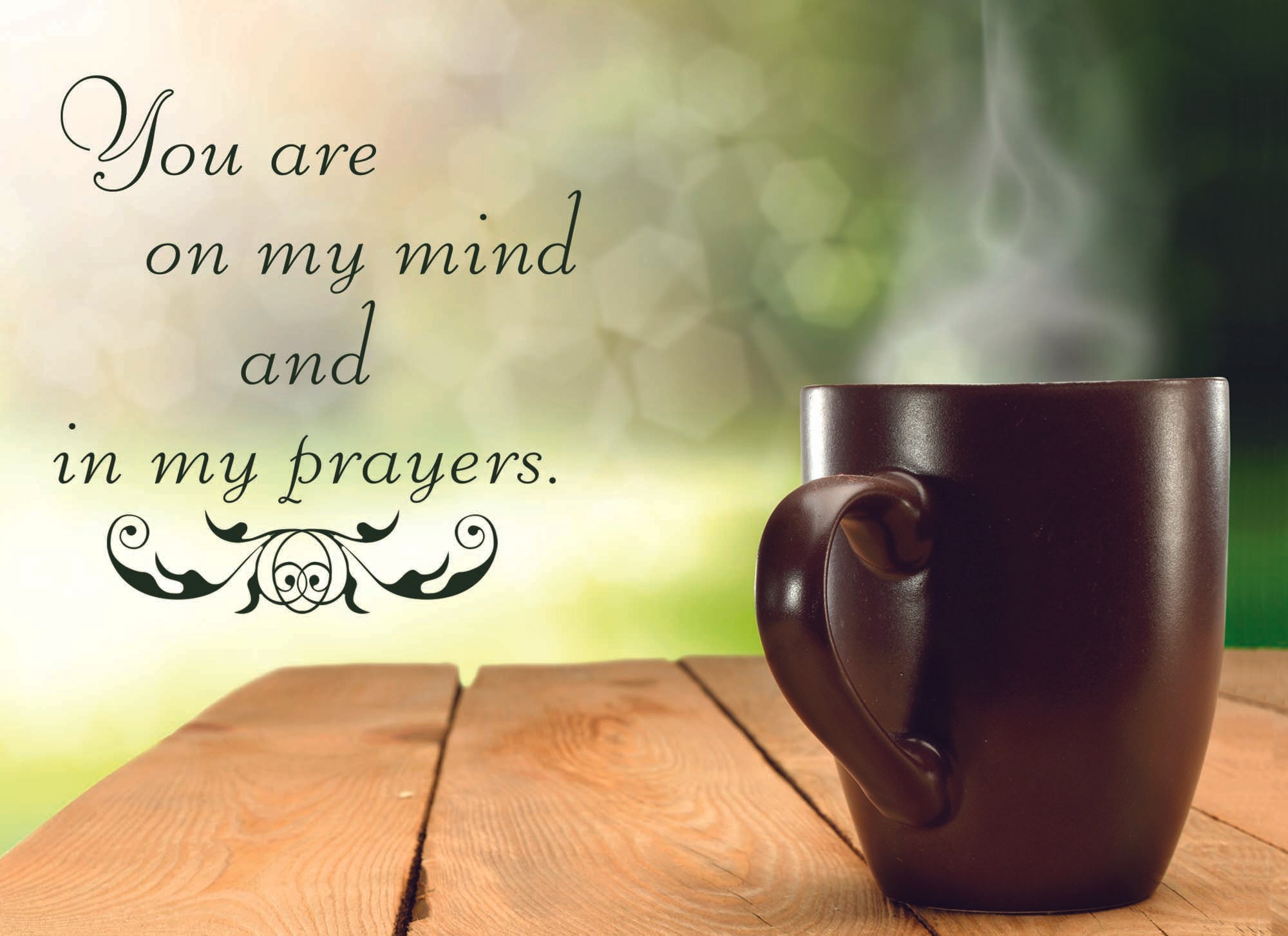 Christian Thinking of You Cards by Shared Blessings- Blessed Thoughts - 12 Cards and Envelopes