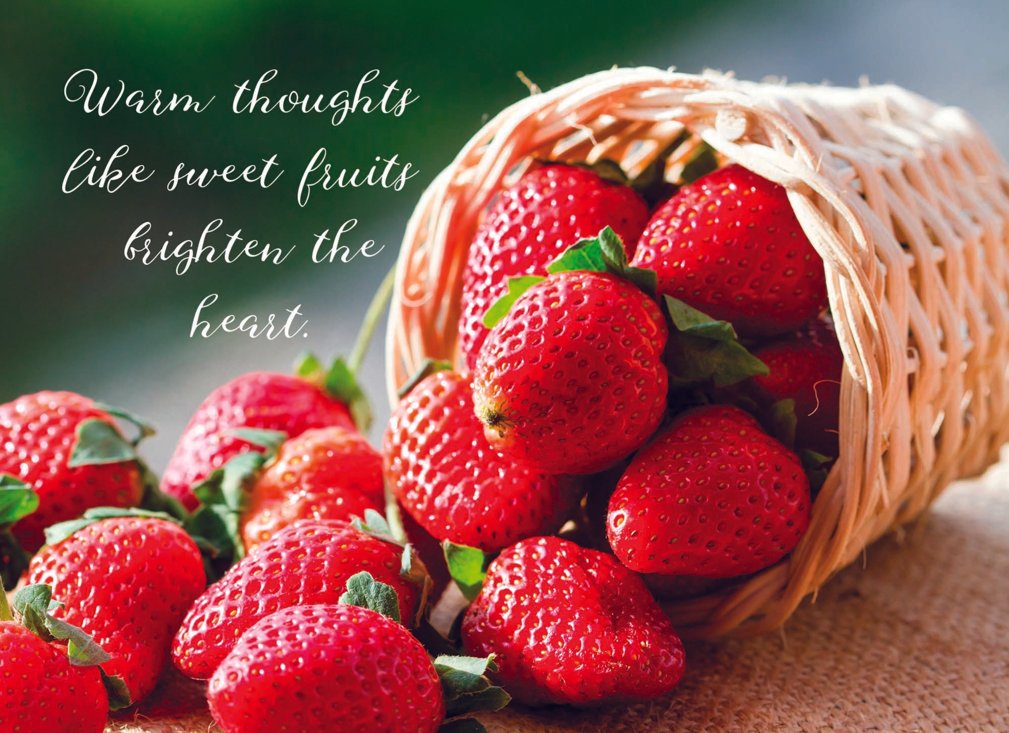 Christian Thinking of You Cards by Shared Blessings- Fruitful Blessings - 12 Cards and Envelopes