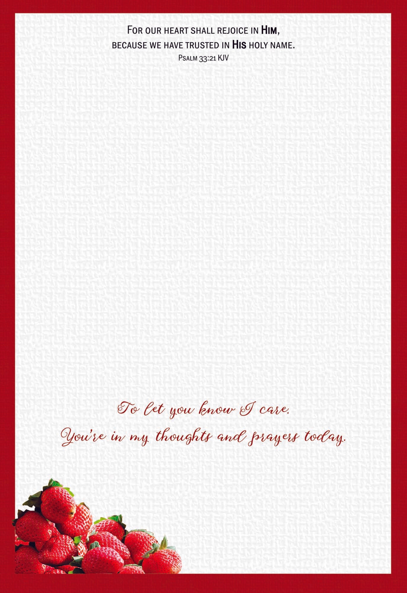 Christian Thinking of You Cards by Shared Blessings- Fruitful Blessings - 12 Cards and Envelopes