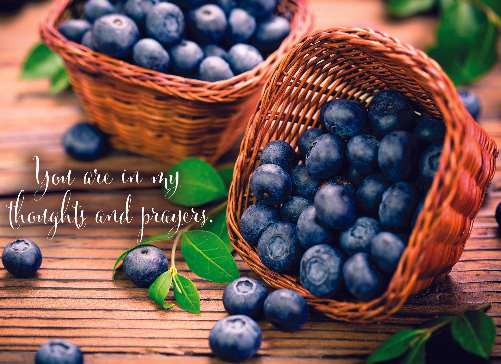 Christian Thinking of You Cards by Shared Blessings- Fruitful Blessings - 12 Cards and Envelopes