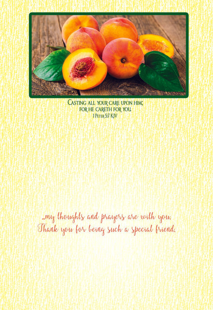 Thinking of You - Fruitful Blessings - Assorted Thinking of You Cards