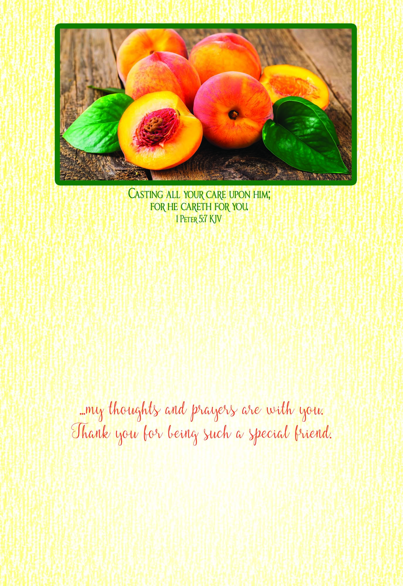 Christian Thinking of You Cards by Shared Blessings- Fruitful Blessings - 12 Cards and Envelopes